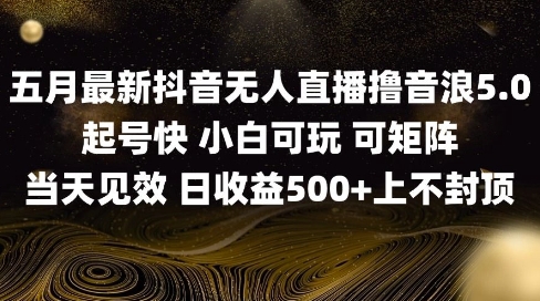 2025五月最新无人直播撸音浪单日产出5张+实操教程【揭秘】-旺仔资源库