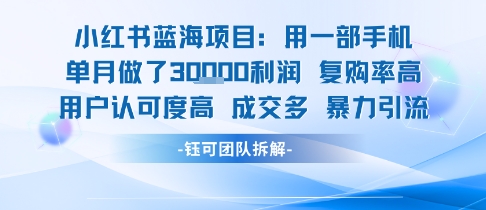 小红书蓝海项目，一部手机单月做了3W利润，小白也能月入过1W用户认可度高成交多-旺仔资源库