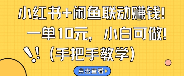 小红书+闲鱼联动挣钱，一单10元，小白可做-旺仔资源库