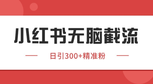 小红书截流同行客源，独家野路子获客玩法 日引200+暴力获客【揭秘】-旺仔资源库