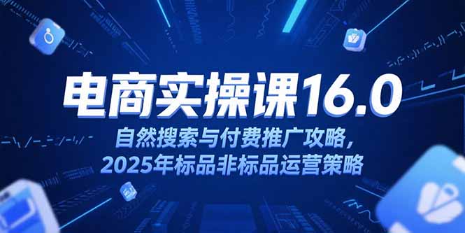 淘宝电商运营课16.0，自然搜索与付费推广攻略，2025年标品非标品运营策略-旺仔资源库