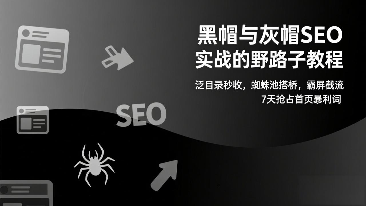 黑帽与灰帽SEO实战的野路子教程：泛目录秒收，蜘蛛池搭桥，霸屏截流，7天抢占首页暴利词-旺仔资源库