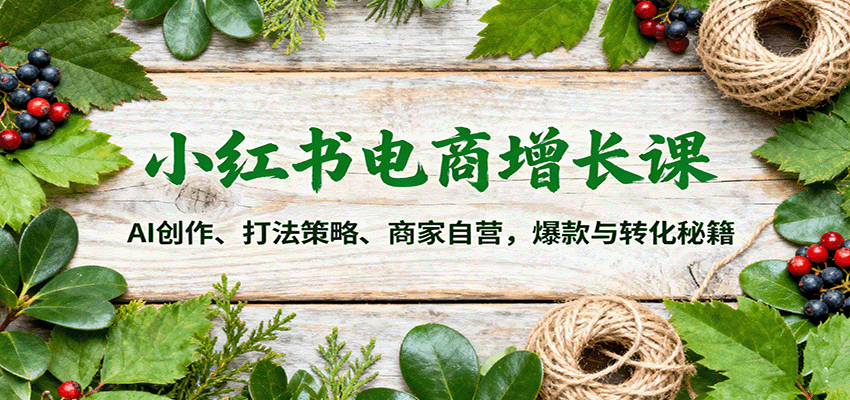 小红书电商增长课：AI创作、打法策略、商家自营，爆款与转化秘籍-旺仔资源库