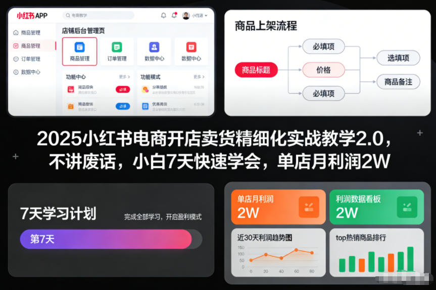 2025小红书电商开店卖货精细化实战教学2.0，不讲废话，小白7天快速学会，单店月利润2W-旺仔资源库
