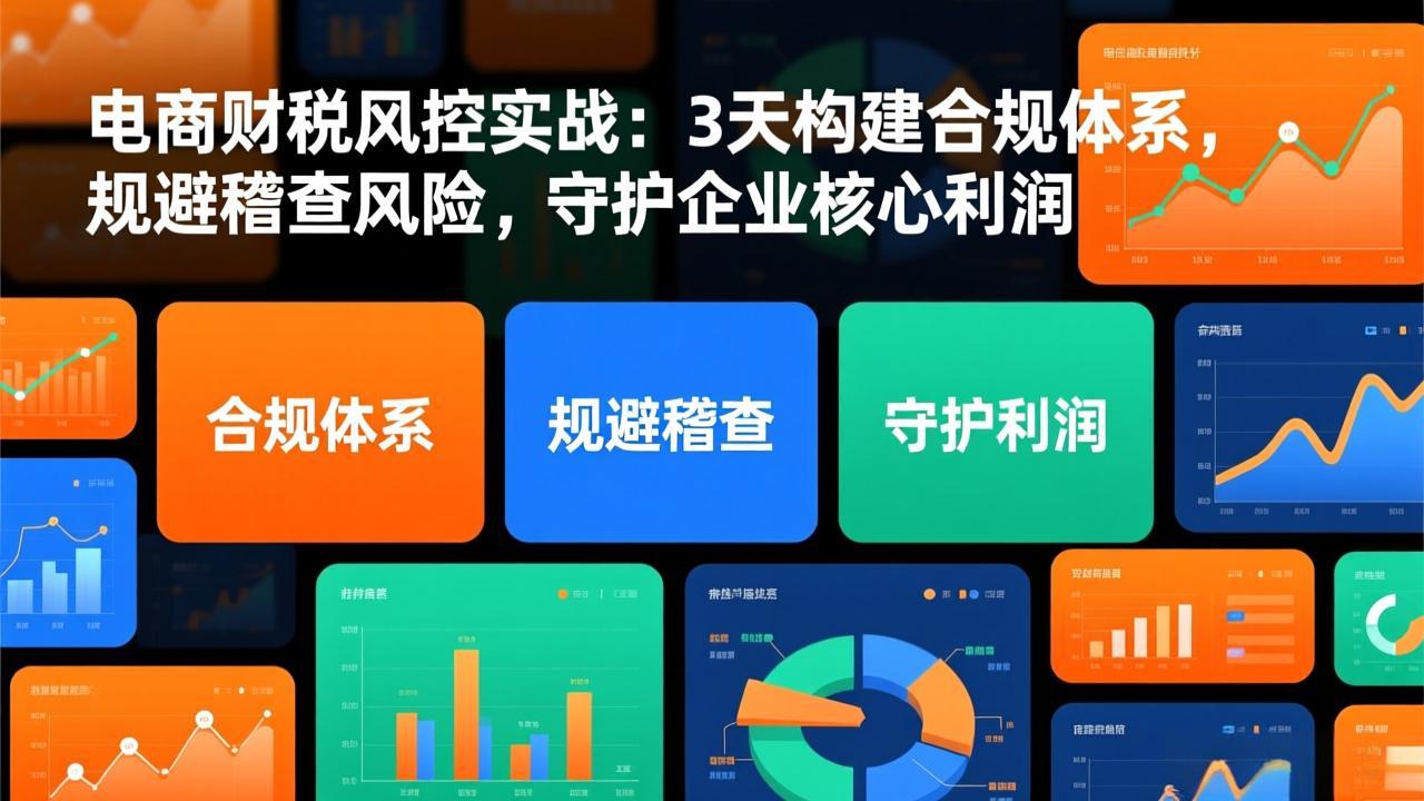 电商财税风控实战:3天构建合规体系,规避稽查风险,守护企业核心利润-旺仔资源库