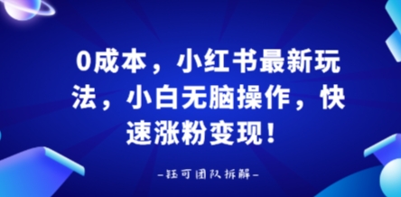0成本，小红书最新玩法，小白无脑操作，快速涨粉变现-旺仔资源库