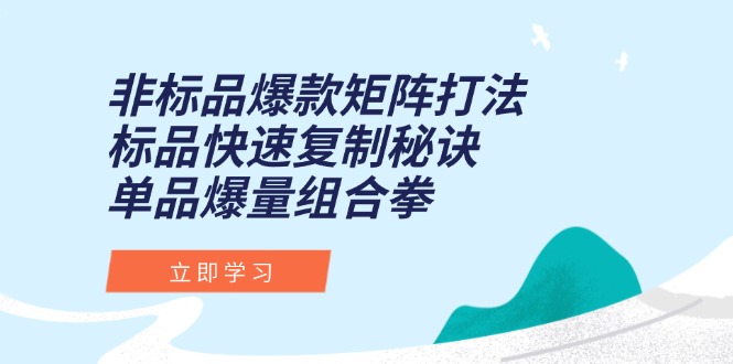 非标品爆款矩阵打法，标品快速复制秘诀，单品爆量组合拳-旺仔资源库