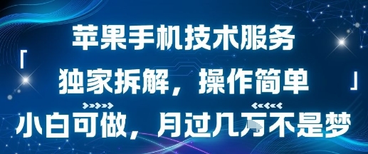 苹果手机技术服务，独家拆解，操作简单，小白可做，月过1W不是梦-旺仔资源库