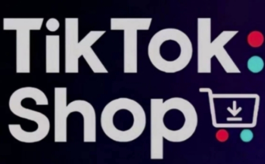 TikTokShop跨境电商0-1实战，手把手教你低成本启动海外市场(更新)-旺仔资源库