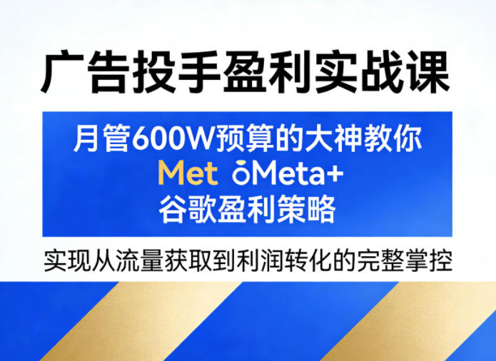广告投手盈利实战课，月管600W预算的大神教你Meta+谷歌盈利策略，实现从流量获取到利润转化的完整掌控-旺仔资源库
