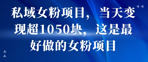 私域女粉项目，当天变现超1k，这是最好做的女粉项目，可放大操作-旺仔资源库