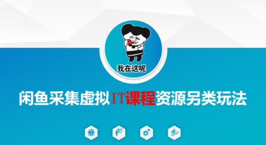 闲鱼采集虚拟IT课程资源另类玩法，干货满满-旺仔资源库