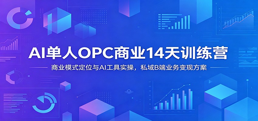 AI单人OPC商业14天训练营:商业模式定位与AI工具实操,私域B端业务变现方案-旺仔资源库