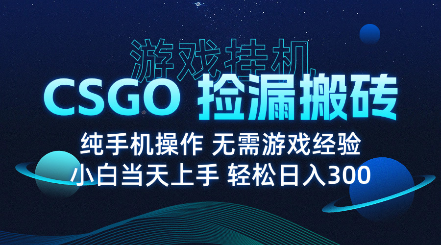 8月最新游戏搬砖，CSGO纯挂机，不需要玩游戏，实现真挂机，月入1W+-旺仔资源库