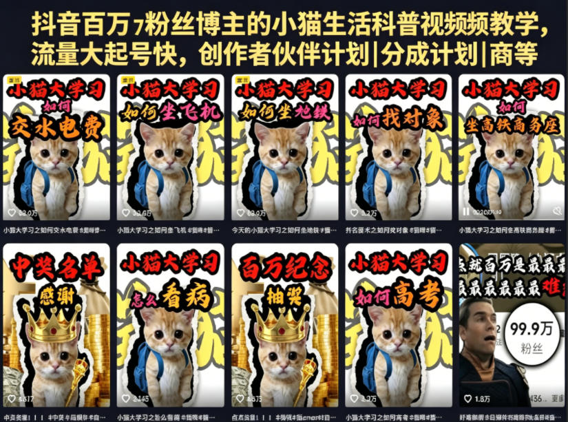 抖音百万粉丝博主的小猫生活科普视频教学，流量大起号快，创作者伙伴计划|分成计划|商单|收徒等-旺仔资源库