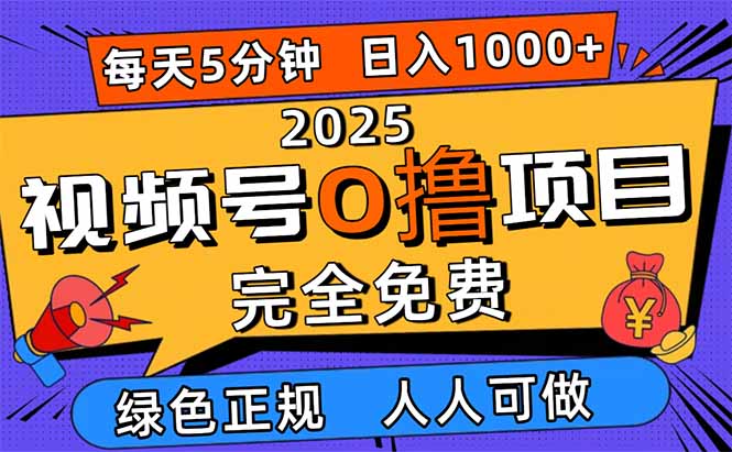 2025视频号0撸项目,5分钟一个号,日入1000+,人人可做-旺仔资源库