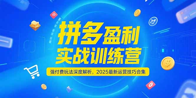 拼多多盈利实战训练营，强付费玩法深度解析，2025运营技巧合集-更新6月-旺仔资源库
