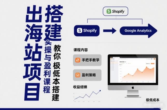 小淘出海站项目,搭建实操与盈利课程,手把手教你用极低成本搭建-旺仔资源库