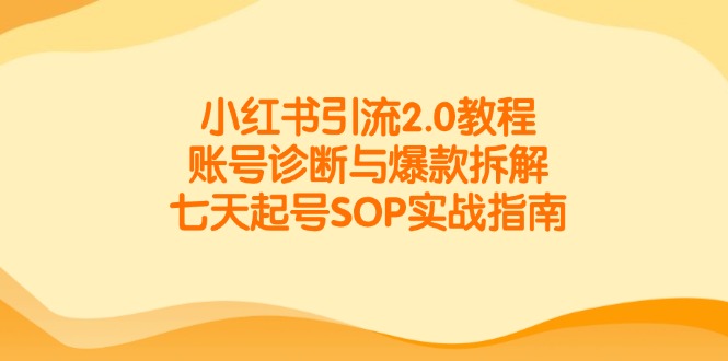 小红书引流2.0教程，账号诊断与爆款拆解，七天起号SOP实战指南-旺仔资源库