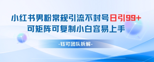 小红书男粉常规引流不封号日引99+变现简单 可矩阵可复制小白容易上手-旺仔资源库