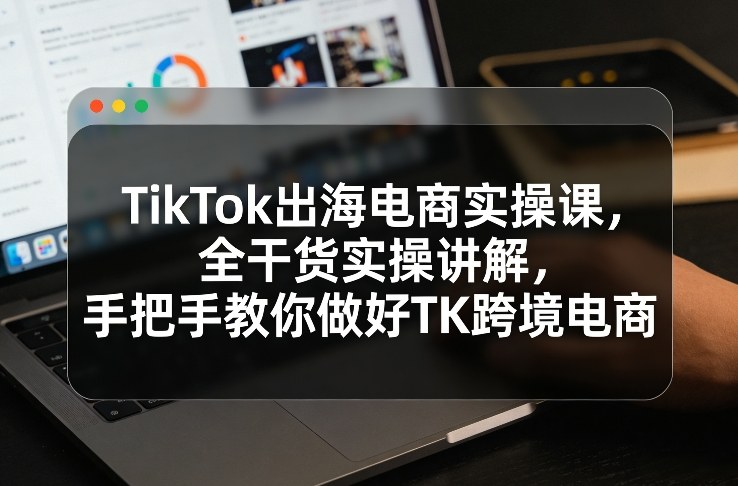 TikTok出海电商实操课，全干货实操讲解，手把手教你做好TK跨境电商-旺仔资源库