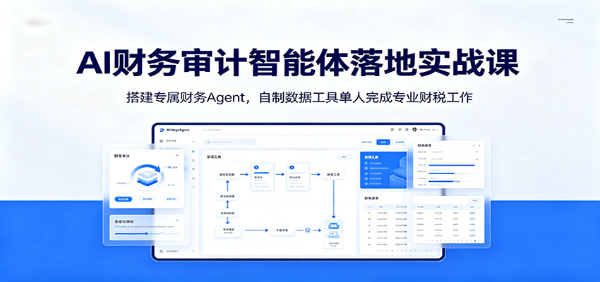 AI财务审计智能体落地实战课:搭建专属财务Agent,自制数据工具单人完成专业财税工作-旺仔资源库