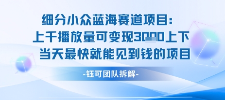 小众蓝海赛道项目：当天变现1k+适合新手操作 +适合长期玩-旺仔资源库