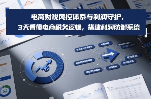 电商财税风控体系与利润守护，3天看懂电商税务逻辑，搭建利润防御系统-旺仔资源库