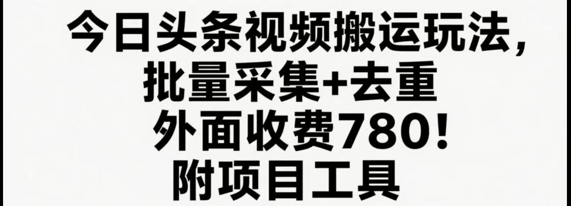 今日头条视频搬运玩法，软件一键去重，轻松日入500+附项目工具-旺仔资源库
