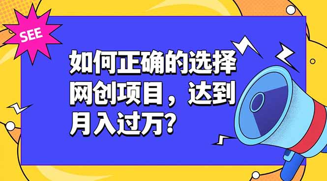 如何正确的选择网创项目,达到月入过万?,本课程教你正确选择项目。-旺仔资源库