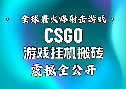 【年底大揭秘】基于全球最火爆的射击CSGO游戏挂G搬砖，日入5张+，震撼公开-旺仔资源库