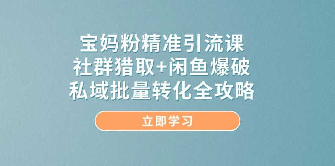 宝妈粉精准引流课，社群猎取+闲鱼爆破，私域批量转化全攻略-旺仔资源库