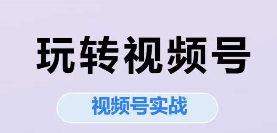 玩转视频号，视频号实战系列课-旺仔资源库