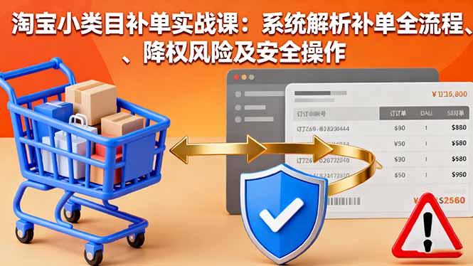 淘宝小类目补单实战课：系统解析补单全流程、降权风险及安全操作-旺仔资源库