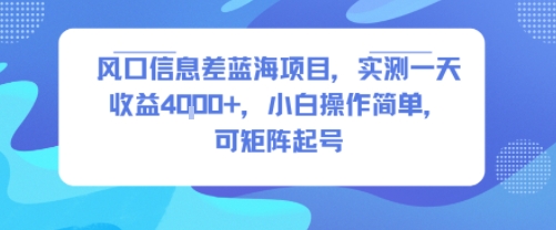 风口信息差蓝海项目，实测一天收益4k+，小白操作简单，可矩阵起号-旺仔资源库