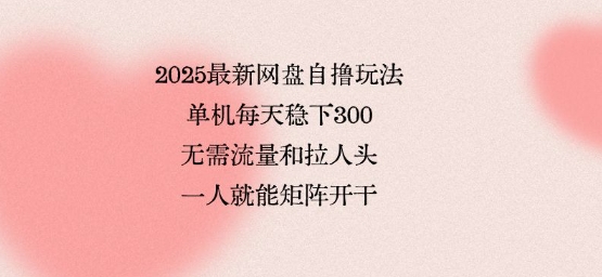 2025最新网盘自撸玩法，单机每天稳下3张，无需流量和拉人头，一个人就可轻松矩阵，全网独一份【揭秘】-旺仔资源库