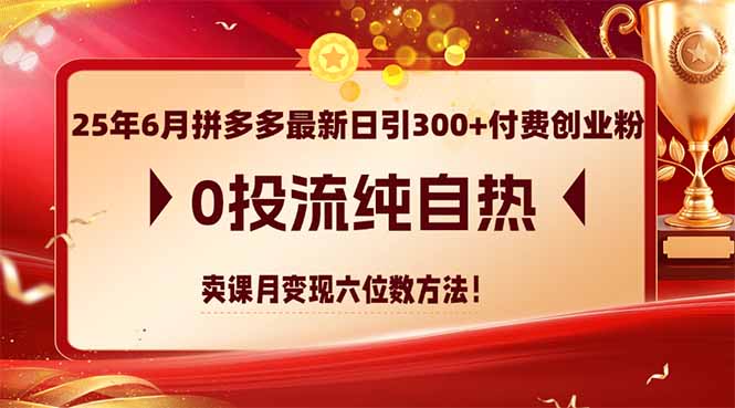 25年6月拼多多最新日引300+付费创业粉，0投流纯自热 卖课月变现六位数方法-旺仔资源库