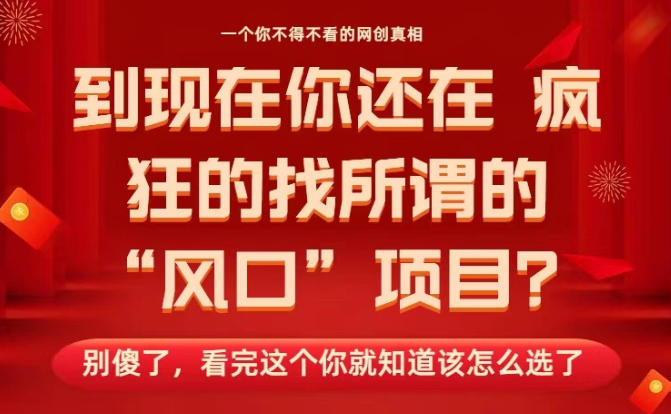 马上26年了，你还在找所谓的风口项目？别傻了，看完这个你全都懂了！【揭秘】-旺仔资源库