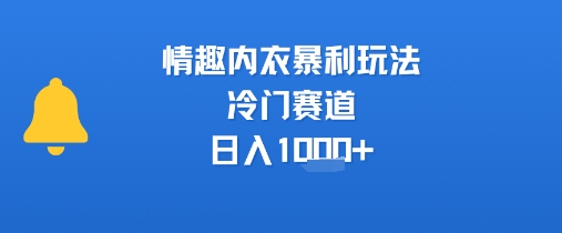 情趣内衣暴利玩法，冷门赛道，日入1k+-旺仔资源库