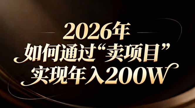站在2026年的十字路口：一个普通人如何通过卖项目实现年入200万-旺仔资源库