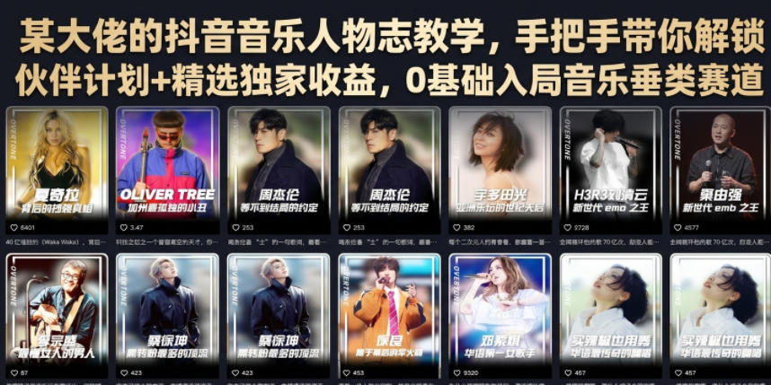 某大佬的抖音音乐人物志教学，手把手带你解锁伙伴计划+精选独家收益，0基础入局音乐垂类赛道-旺仔资源库