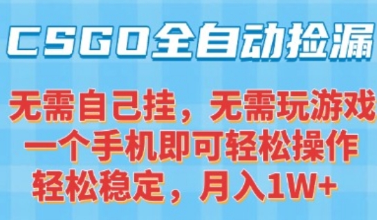 CSGO自动捡漏项目，最新独家玩法，一个手机可操作，新手小白轻松月入1W+，操作简单易上手【揭秘】-旺仔资源库