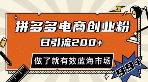 拼多多引流电商创业粉，日引200+，可矩阵放大，做了就有效【揭秘】-旺仔资源库