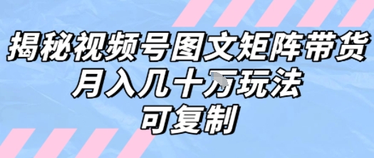 解密视频号图文矩阵带货，月入几个W的打法，可复制-旺仔资源库