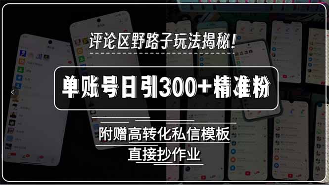 评论区野路子玩法揭秘！单账号日引300+精准粉，附赠高转化私信模板，直…-旺仔资源库