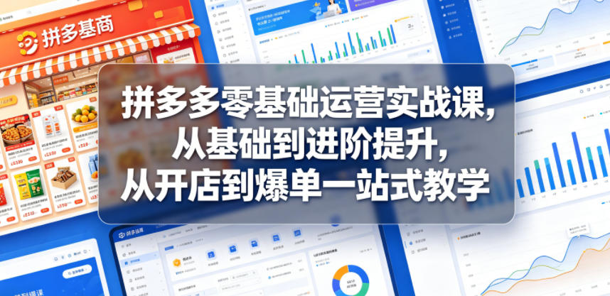 拼多多零基础运营实战课，从基础到进阶提升，从开店到爆单一站式教学-旺仔资源库