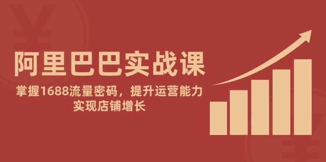 阿里巴巴实战课：掌握1688流量密码，提升运营能力，实现店铺增长-旺仔资源库