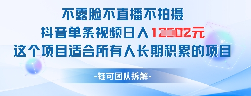 不露脸不直播不拍摄抖音单条视频日入1k+这个项目适合所有人长期积累的项目-旺仔资源库
