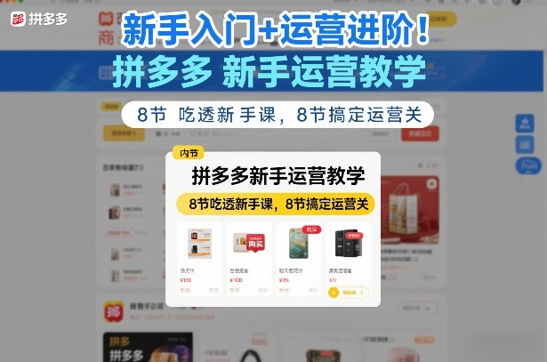 新手入门+运营进阶！拼多多新手运营教学，8节吃透新手课，8节搞定运营关-旺仔资源库