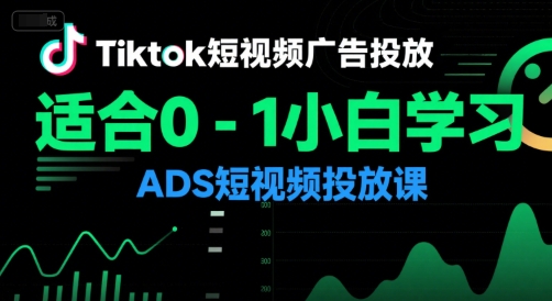 Tiktok短视频广告投放，适合0-1小白学习ADS短视频投放课-旺仔资源库